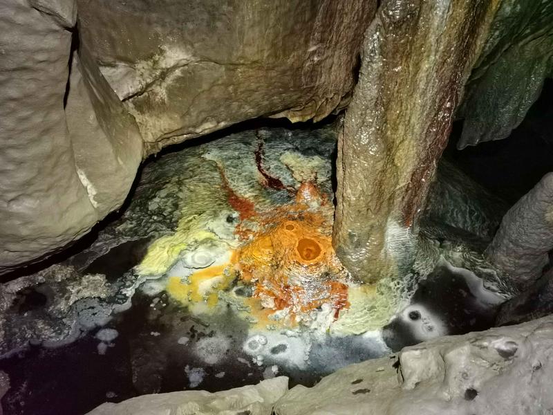 Thumbnail of photo from this article